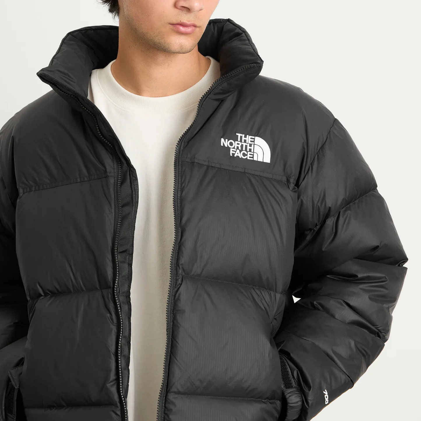 Casaca de Plumas The North Face Retro Nuptse Puedes Pagar En Casa 🏡