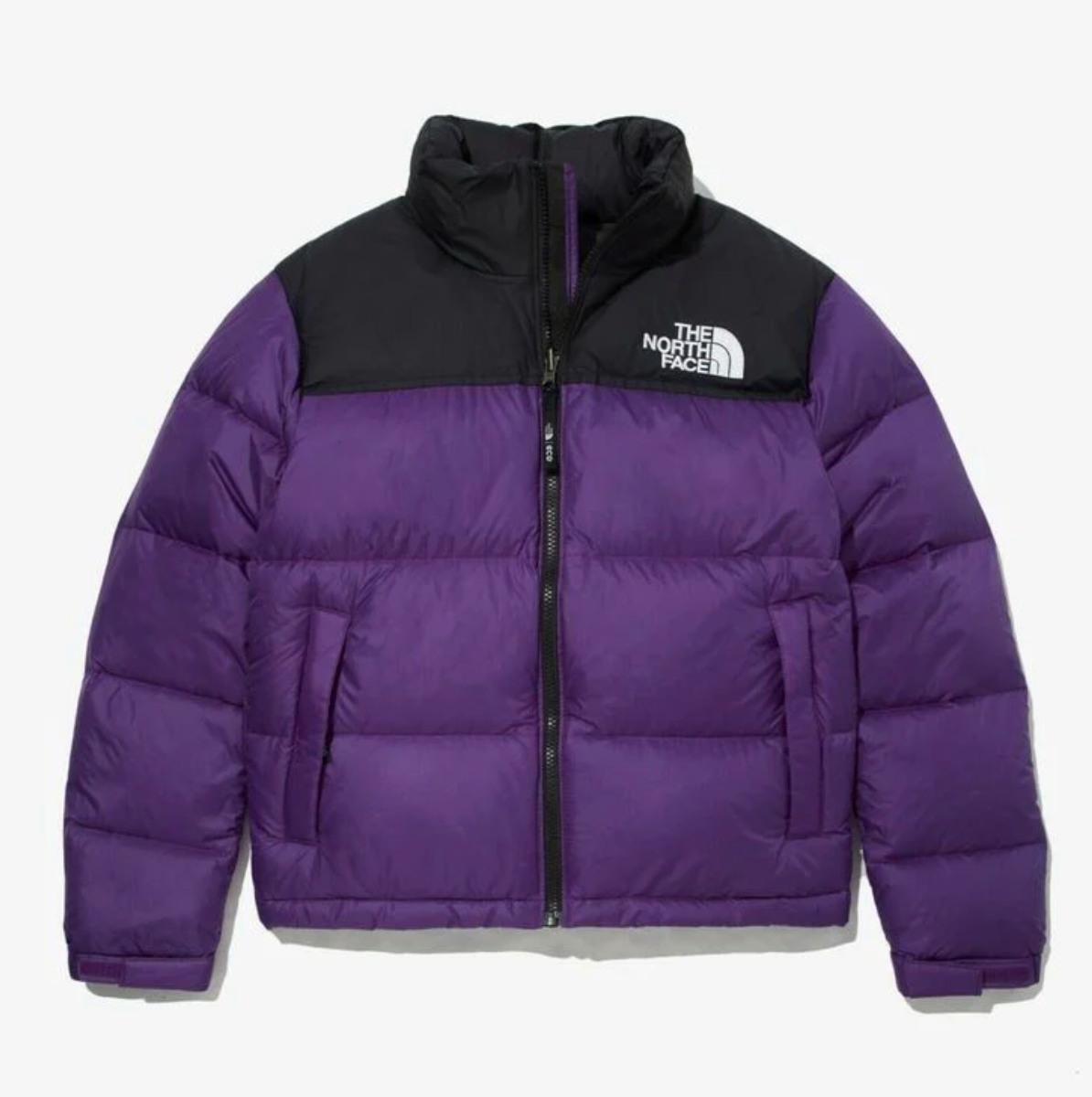 Casaca de Plumas The North Face Retro Nuptse Puedes Pagar En Casa 🏡